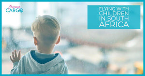 Flying with Children in South Africa | Complete Guide 2022