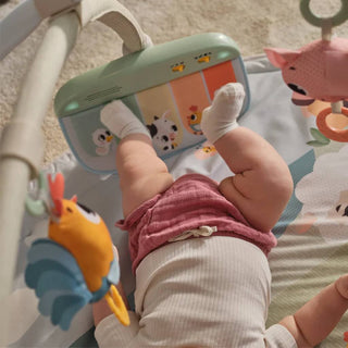 TINY LOVE FARMERS FUNDAY DYNAMIC GYMINI