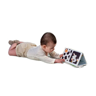 TINY LOVE FARMERS FUNDAY 2-IN-1 SENSORY TUMMY TIME TOY