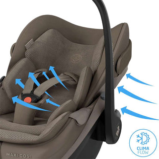MAXI COSI OXFORD & PEBBLE SLIDE PRO TRAVEL SYSTEM