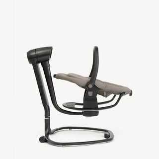 JOIE SERINA™ 2 IN 1 INFANT SWING & ROCKER