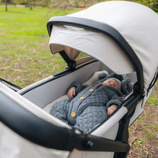 THULE SPRING 2 & MAXI COSI PEBBLE 360 PRO 2 TRAVEL SYSTEM